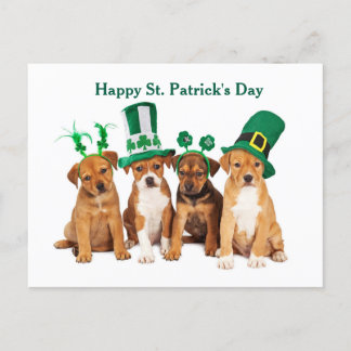 Happy St. Patrick's Day Dogs postcard