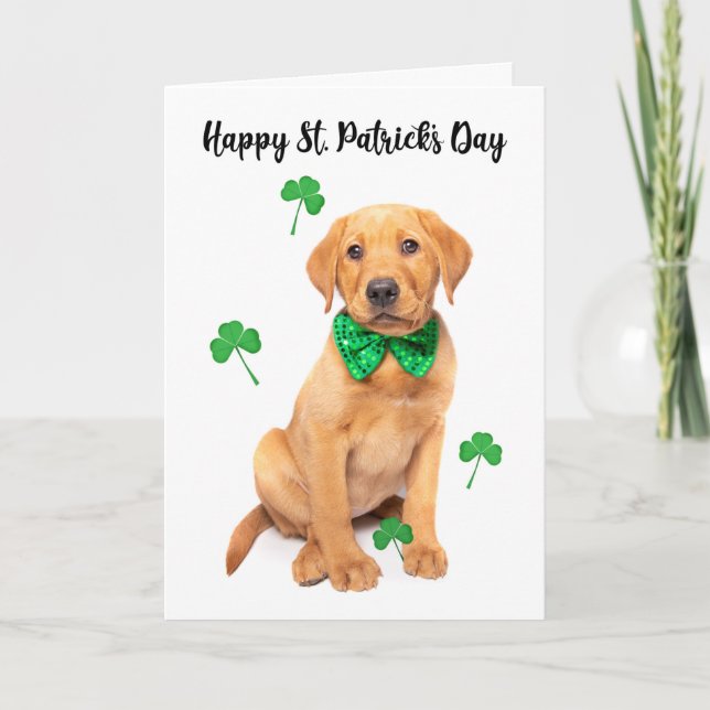 Happy St Patrick's Day For Anyone Cute Red Fox Lab Holiday Card (Front)