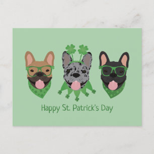 Happy St Patricks Day French Bulldogs Postcard