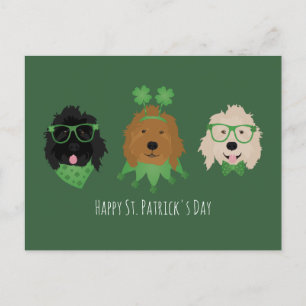 Happy St Patricks Day Goldendoodle Dogs Postcard