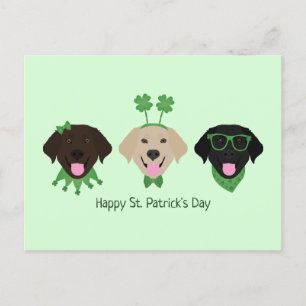Happy St Patricks Day Labrador Retriever Dogs Postcard