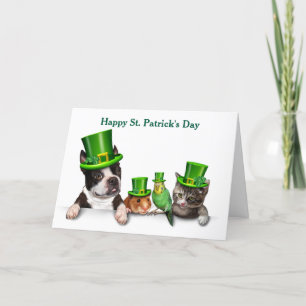 Happy St. Patrick's Day Pets Holiday Card