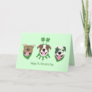 Happy St Patricks Day Pit Bull Dogs Holiday Card