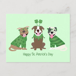 Happy St Patricks Day Pit Bull Dogs Postcard