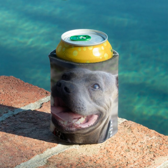 Happy Staffordshire Bull Terrier,   Can Cooler (In Situ Pool)