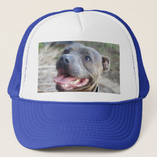 Happy Staffordshire Bull Terrier, Casquette