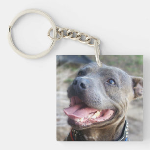 Happy Staffordshire Bull Terrier, Keychain
