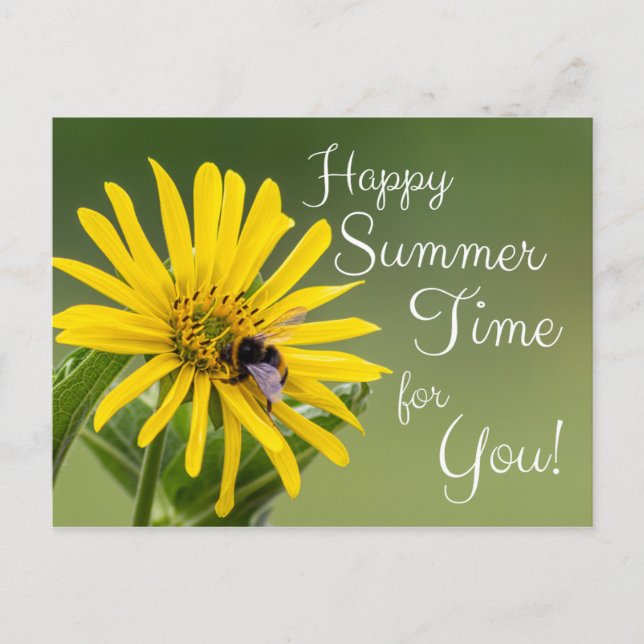 Happy Summer Time for You! Postcard (Front)