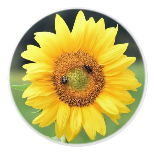 Happy Sunflower Ceramic Knob (Front)