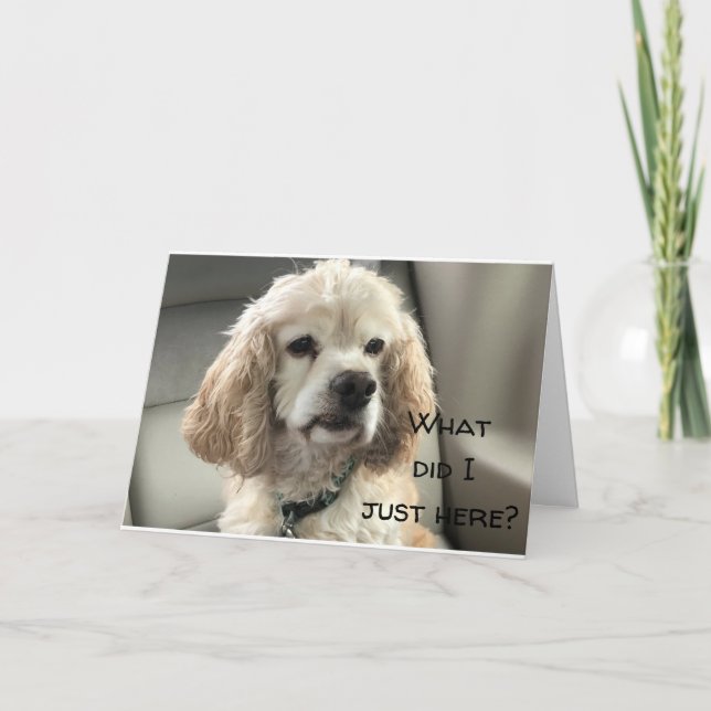 HAPPY SWEET **13** FROM COCKER SPANIEL CARD (Front)