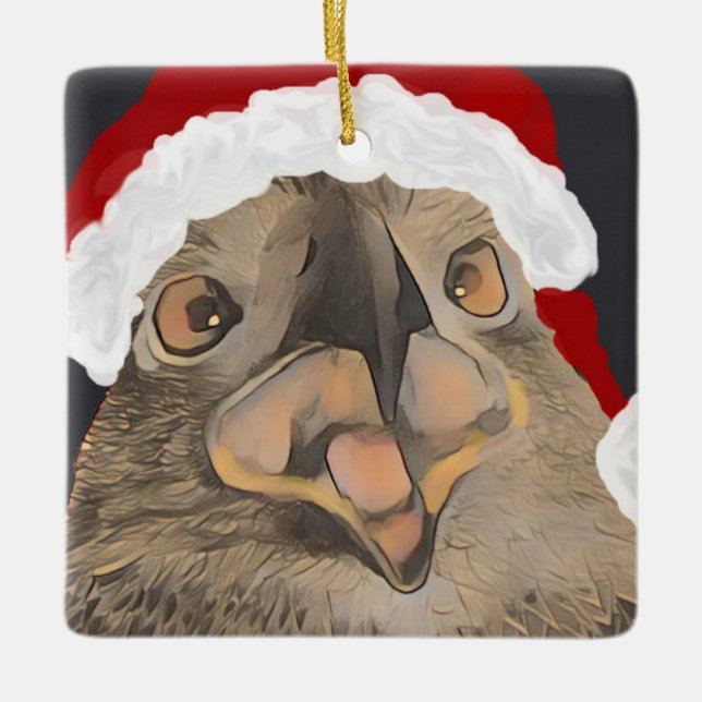 Happy SWFL Eaglet E9 ton clair ornement de Noël (Devant)