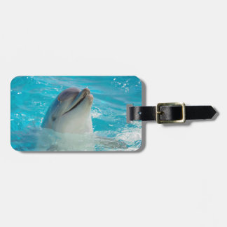 Happy Swimming Dolphin Luggage Tag