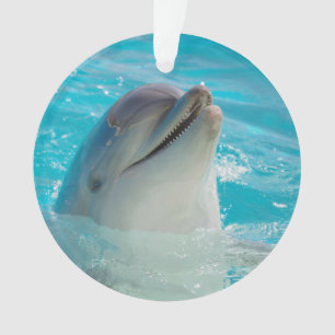 Happy Swimming Dolphin Ornament