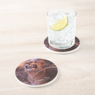 Happy Tau Coaster