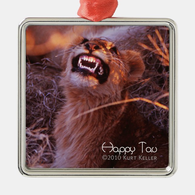 Happy Tau Metal Ornament (Front)