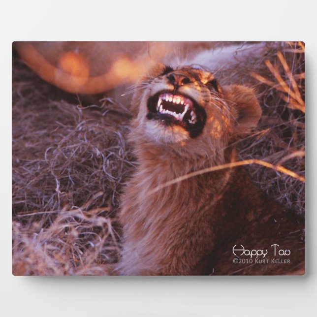 Happy Tau Plaque (Front)