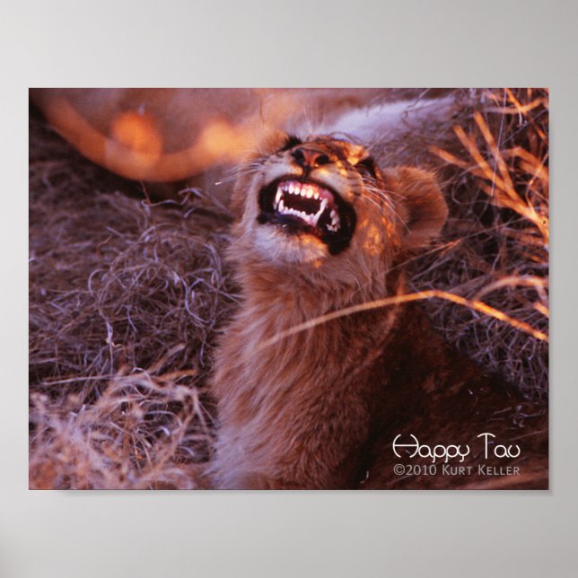Happy Tau Poster (Front)