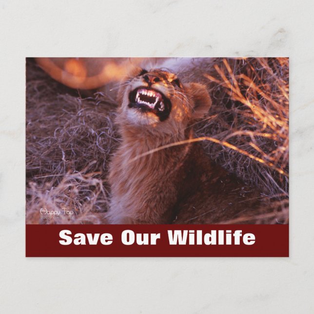 Happy Tau Sauvez Notre Carte Postale Faune (Devant)