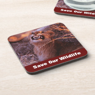 Happy Tau Save Our Wildlife Coaster