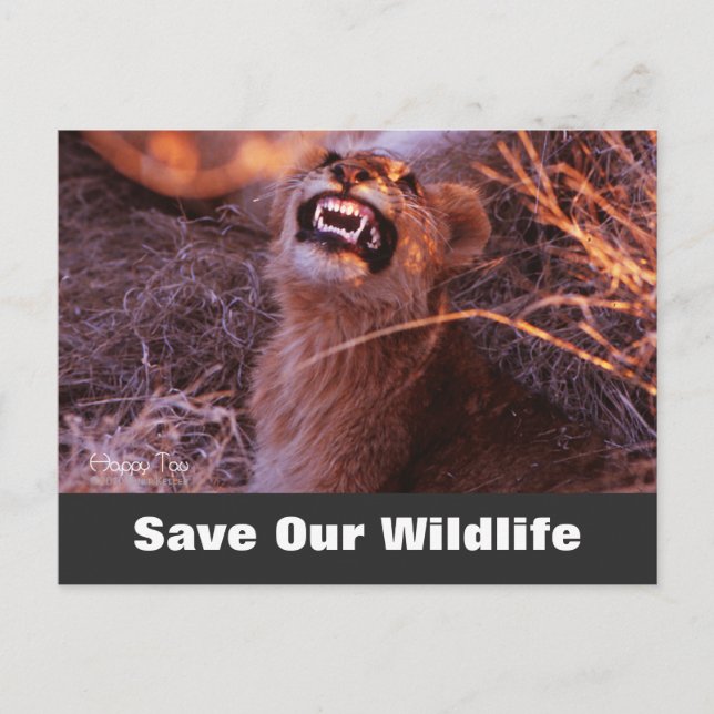 Happy Tau, Save Our Wildlife Postcard (Front)