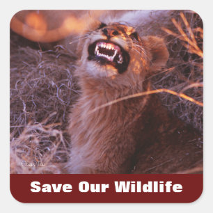 Happy Tau Save Our Wildlife Square Sticker