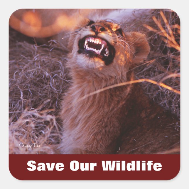 Happy Tau Save Our Wildlife Square Sticker (Front)