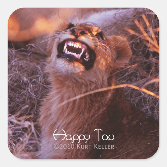 Happy Tau Square Sticker (Front)
