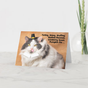 Happy Thankgiving Funny Fat Cat in Pilgrim Hat Holiday Card