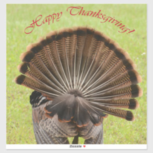 Happy Thanksgiving