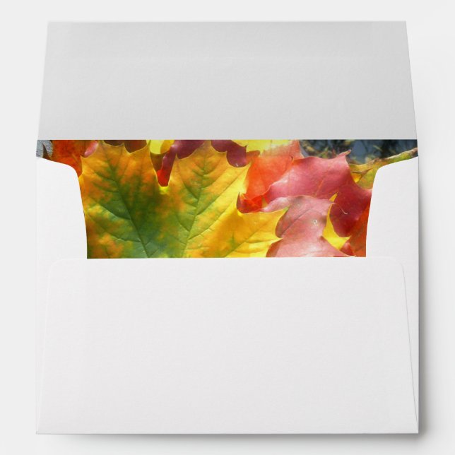 Happy Thanksgiving 7 Envelope (Back (Bottom))