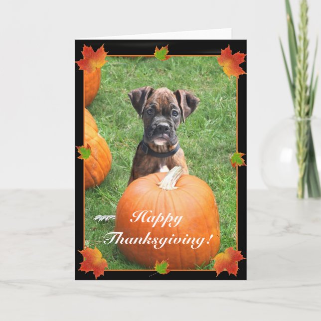 Happy Thanksgiving boxer puppy greeting card (Front)