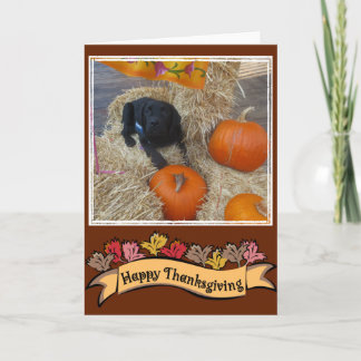 Happy Thanksgiving card