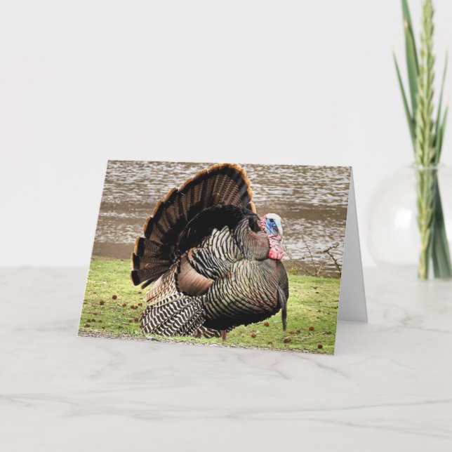 Happy Thanksgiving Card (Front)