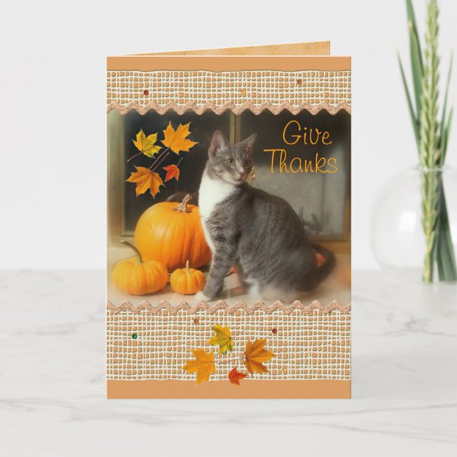 Happy Thanksgiving Card with Cat and Pumpkins (Front)