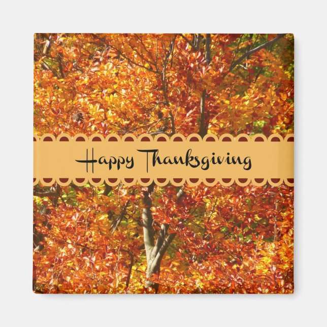 Happy Thanksgiving - Colours of Autumn Magnet (Front)