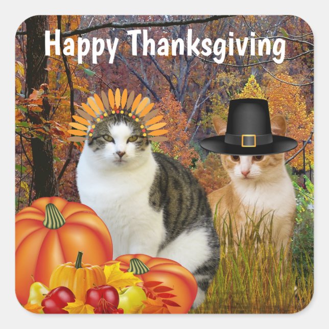 Happy Thanksgiving Cute Cats Pumpkin Square Sticker (Front)