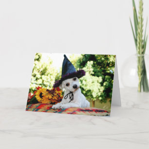 Happy Thanksgiving Dog Greeting Card