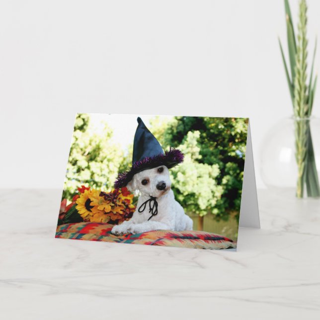 Happy Thanksgiving Dog Greeting Card (Front)