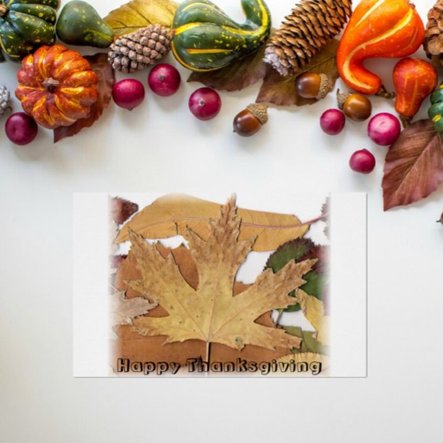 Happy Thanksgiving Fall Foliage Faded Border (Creator Uploaded)