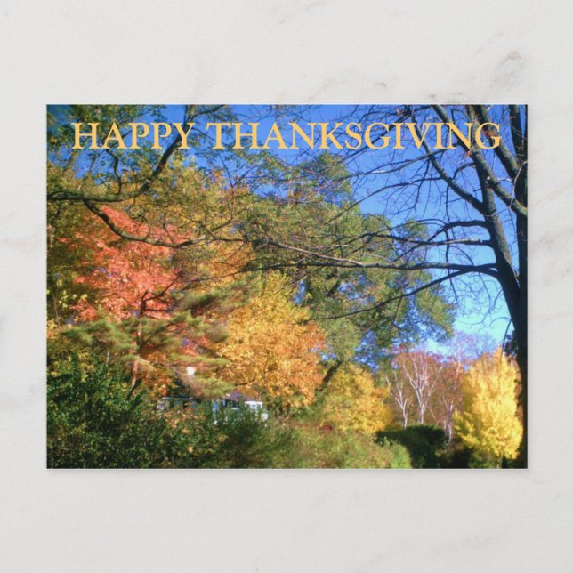 HAPPY THANKSGIVING FALL postcard (Front)