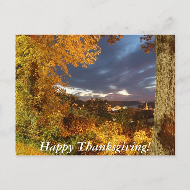 Happy Thanksgiving Holiday Postcard (Front)