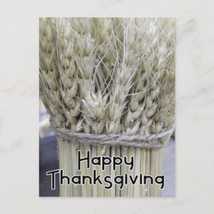 Happy Thanksgiving Holiday Postcard
