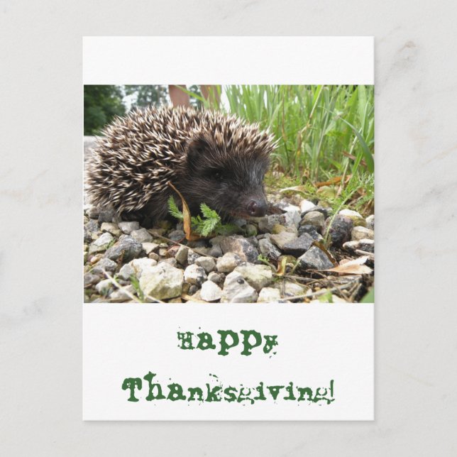 Happy Thanksgiving! Holiday Postcard (Front)