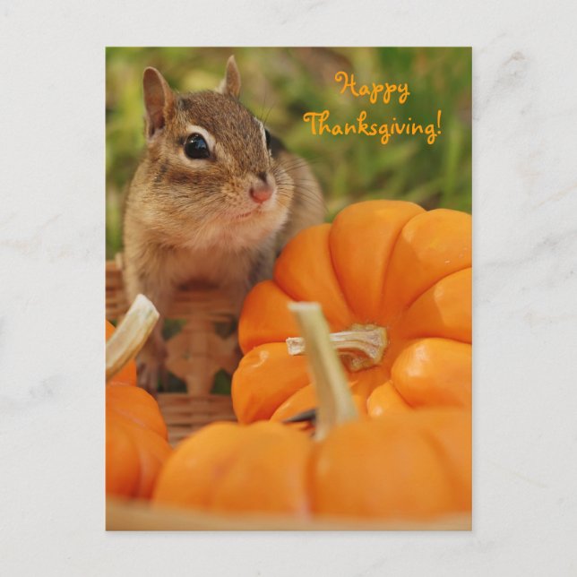 Happy Thanksgiving Little Chipmunk Postcard (Front)