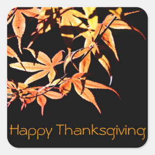 Happy Thanksgiving Maples Autumn colours Sticker