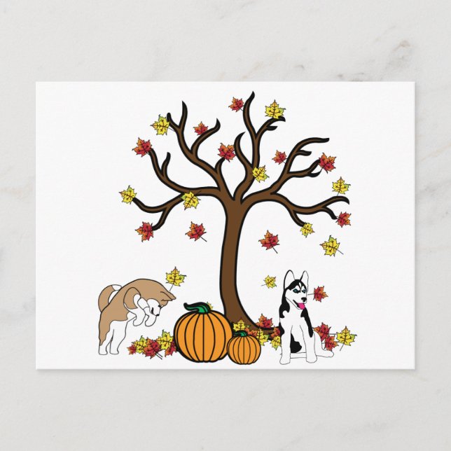 Happy Thanksgiving Post Card (Front)