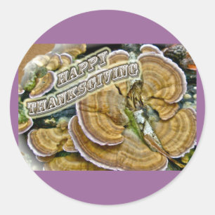 Happy Thanksgiving Shelf Fungus Series Classic Round Sticker
