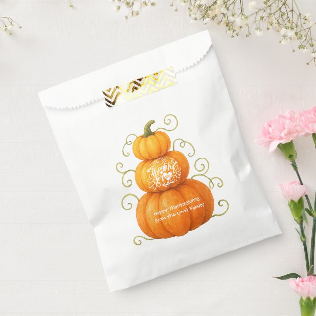 Happy Thanksgiving Thankful Pumpkins Favour Bag (Sealed)