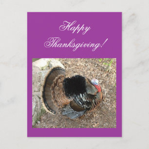 Happy Thanksgiving! - Thanksgiving card