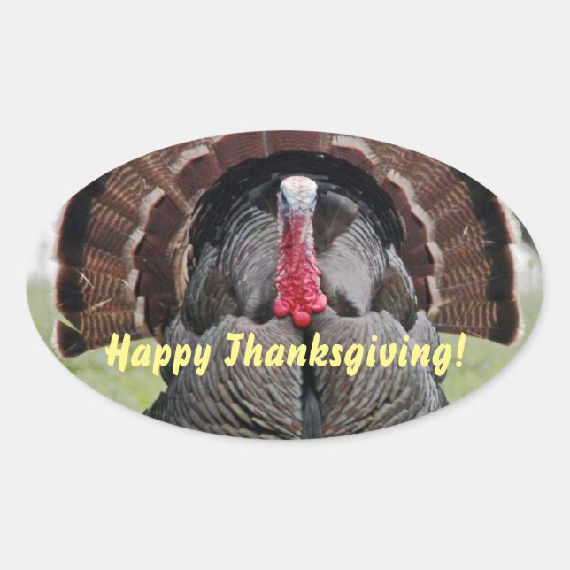 Happy Thanksgiving Turkey Oval Sticker (Front)